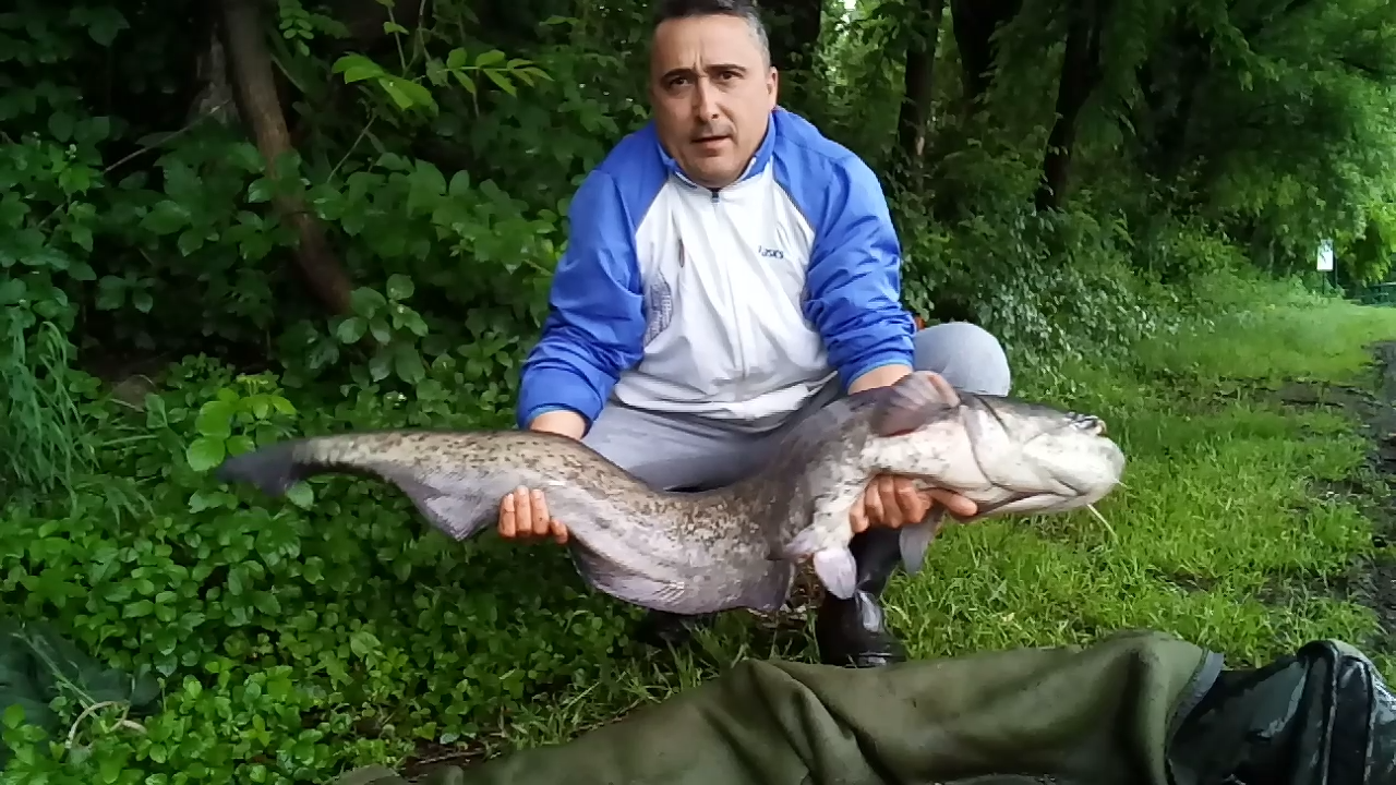 ISOLA DEL PESCATORE 28 - 29 mai 2018 - screenshot2018-05-29-09-20-00.png